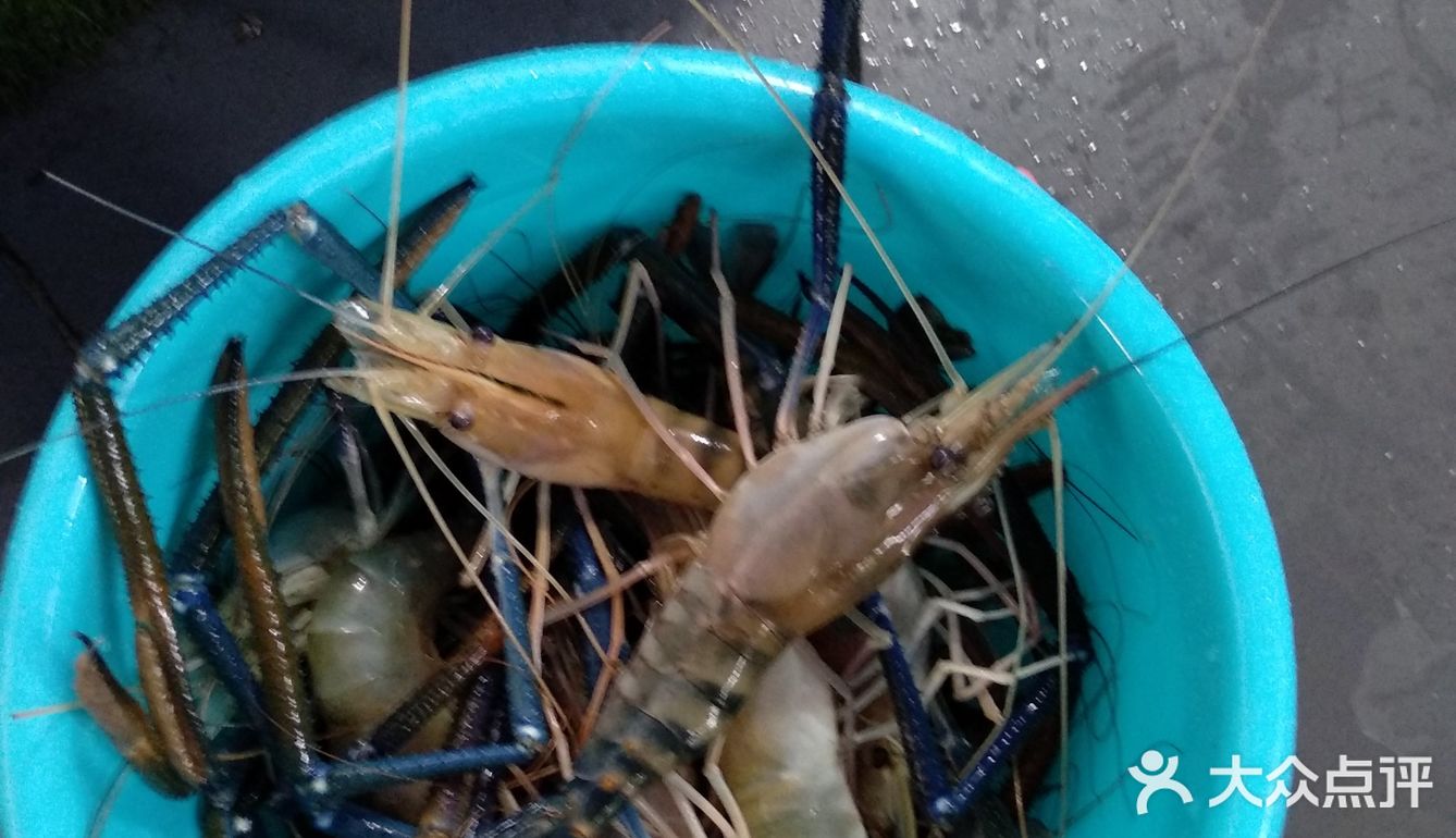 粗声粗气，而系同你有说有笑