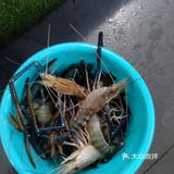粗声粗气，而系同你有说有笑