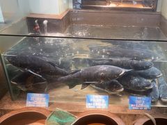 -上名堂·鱼头好吃(体育场路店)