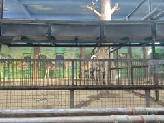 -鄂尔多斯野生动物园