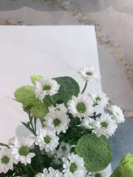 -HEYAN长风荷妍专业脱毛美肤
