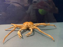 -大连自然博物馆·地球展厅