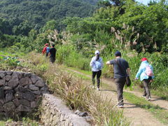 -上海和平眼科医院