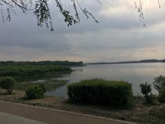 -丁香湖公园