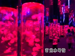 -成都浩海立方海洋公园