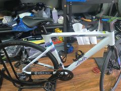 -道路口单车爱瓦士dahon大行