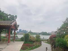 -顺峰山公园