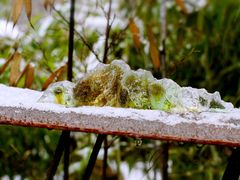 -瓷语堂(上海五维空间创意园店)