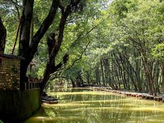 -西溪南古村落