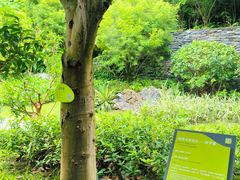 -云溪植物园