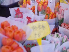 -循礼门鲜花花市(武汉循礼门店)