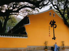-普陀山雷迪森庄园