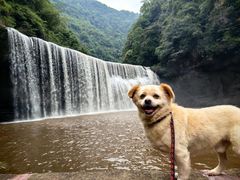-赤水丹霞旅游区·大瀑布