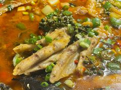 -老号尤兔头(幸福店)