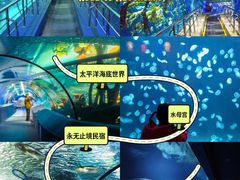 -太平洋海底世界