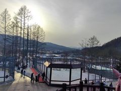 -横道河子东北虎林园