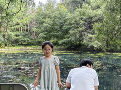 -黑龙江省森林植物园