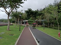 -野狸岛