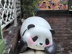 -轩客会(熊猫书店)