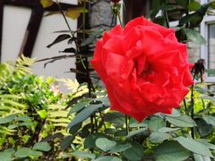 -天毓山庄·餐厅