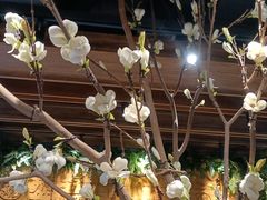 -盛江山自助料理(太原街万达店)