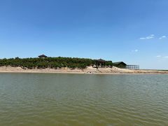 -南大港湿地风景区