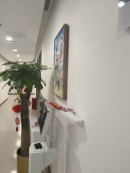 -丰联丽格医疗美容·联合丽格眼整形中心