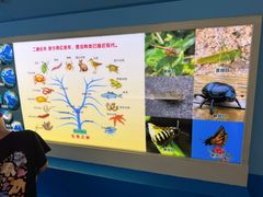 -上海昆虫博物馆