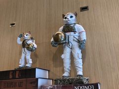 -飞行喵MR PILOT|猫舍·猫咖(静安大融城店)