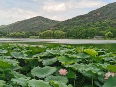 -长广溪湿地公园