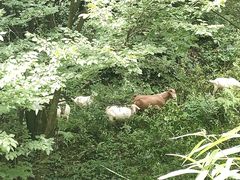 -清江方山景区