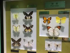 -上海昆虫博物馆
