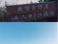 -杨梅坑