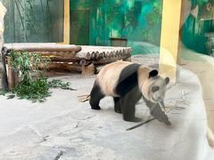-杭州野生动物世界