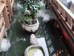 -三只耳火锅(宽窄巷子店)