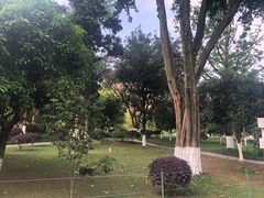 -龙头寺公园