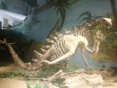 -自贡恐龙博物馆