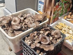 -草原三宝汤锅