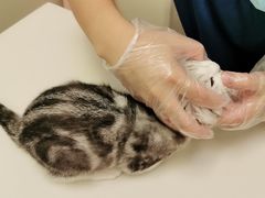 -爱诺耐芙动物医院(万博店)