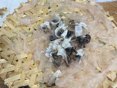 -官塘原味鱼生·潮菜大排档(潮州总店)