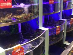 -七欣天(上海淮海路新尚广场店)