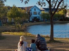 -上海长兴岛郊野公园