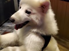 -CIAO·团建聚餐·生日派对轰趴馆(福田店)