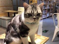 -小时光咖啡馆(开森度假森林店)
