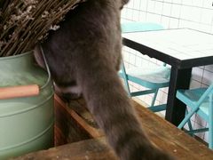 -MIKAKU(万达广场上海宝山店)