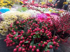 -双季花艺园艺市场(浦东店)