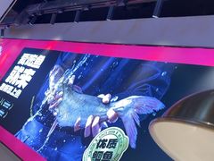 -老板恋上鱼(高新万达店)