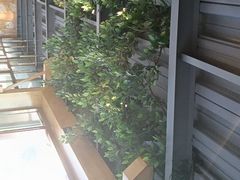 -金塔傣乡·云南民族特色菜·傣味手抓饭(金瓦路店)