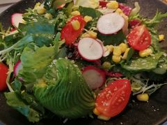 牛油果沙拉-春树下·树屋花房西餐厅(罍街AS1980店)