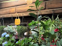 -龙姐私房菜(和顺古镇店)